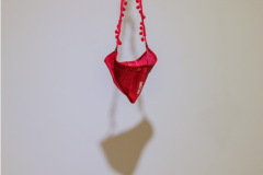 roja12