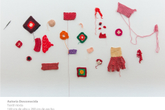 roja19