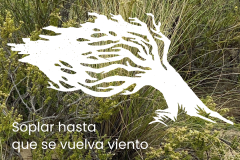 Inauguracion Sala temporal 2024 - 2