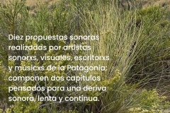 Inauguracion Sala temporal 2024 - 3